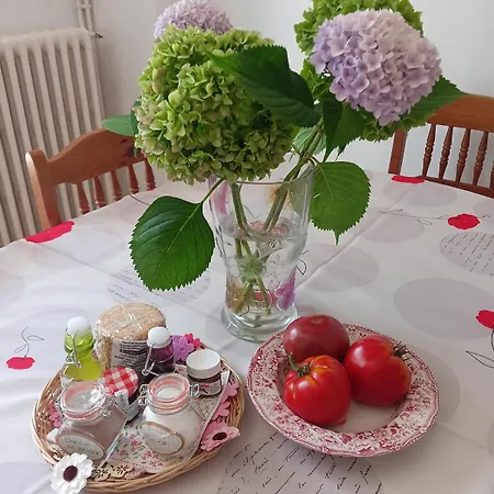 Country Casa vacanze
