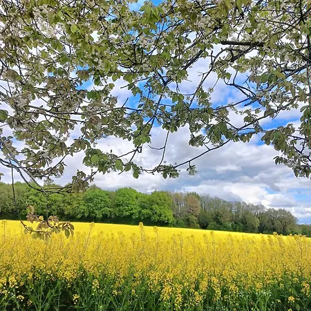 Casa vacanze Country Montalembert