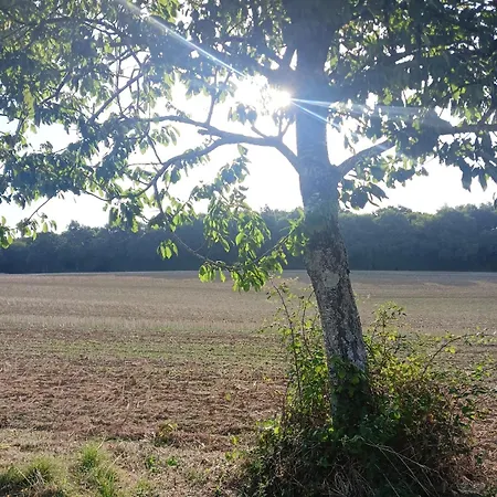 Country